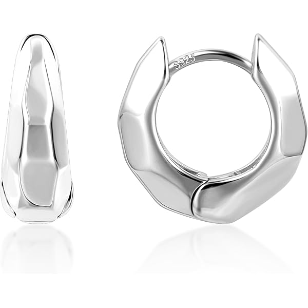 Orecchini a Cerchio a Spirale Dell'onda Marina per le Donne Acciaio Inossidabile Placcato Oro 18 Carati Swirl Chunky Round Huggie Hoops Orecchino Moda Compleanno Gioielli Regali Vacanze (Argento