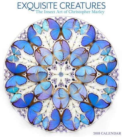 2018 Exquisite Creatures: The Insect Art of Christopher Marley WALL CALENDAR