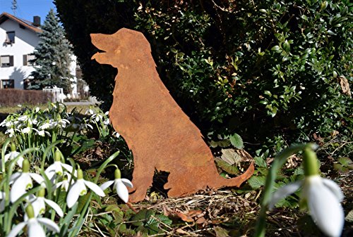 Edelrost Bauernhof Tier Hund, mittelgroß 29 ch hoch , stehend Dekohund für Garten Wetterfest und Frostsicher - 2