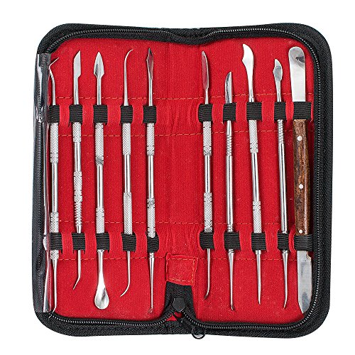 Denshine Set di 10 Attrezzi per Scultura Intagliata nella Cera in Acciaio Inox con Custodia, Laboratorio Dentale Apparecchiatura Cera Carving Tool Set 10 Pcs