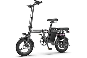 DEEPOWER Bici Elettrica, Bicicletta Elettrica Pieghevole, batteria 48 V 10 Ah estraibile, freni a disco doppi, bici da città per adulti Adoles (10Ah)
