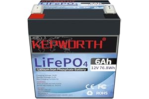 FLLYROWER Lifepo4 12V 6Ah Batterie mit BMS für Lampe, Kinderroller, Sonder, Rasenmäher, Fios, Antriebsräder, Solarsystem, Wechselrichter, Schleppangelmotor und mehr.