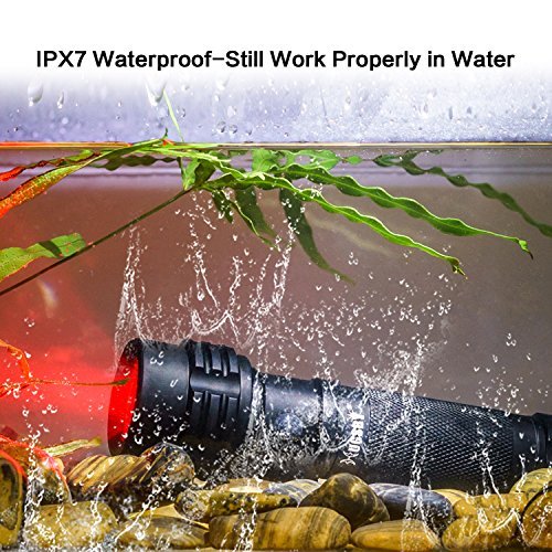Paragala Außen Handhled Tactical Taschenlampen IPX7 Wasserdicht Rot / Grün / Weißlicht LED Taschenlampen Fackel für die Jagd Fischen Wandern Lesen Detector - 4