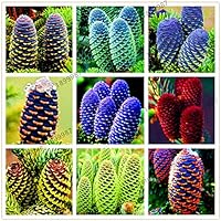 Suchergebnis Auf Amazon De Fur Tanne Nicht Verfugbare Artikel