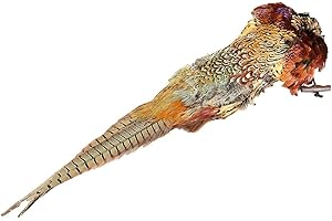 Mystique Dummy Standard 500 g mit Fasanenfedern / Fasanenfell