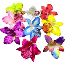 10 Stück Böhmische Blumen-Haarspangen – Künstliche Tropische Blumenclips Für Strand, Hochzeit & Party