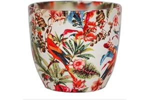 Ivyline Monza Tropischer Papagei, 13 x 13 cm, Rot/Creme, Einheitsgröße