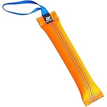Bungee
