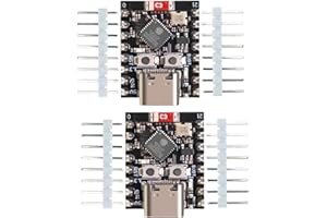DUBEUYEW ESP32 ESP32-C3 Entwicklungsboard Mini ESP32 C3 unterstützt WiFi Bluetooth kompatibel mit Arduino (2 Stück)