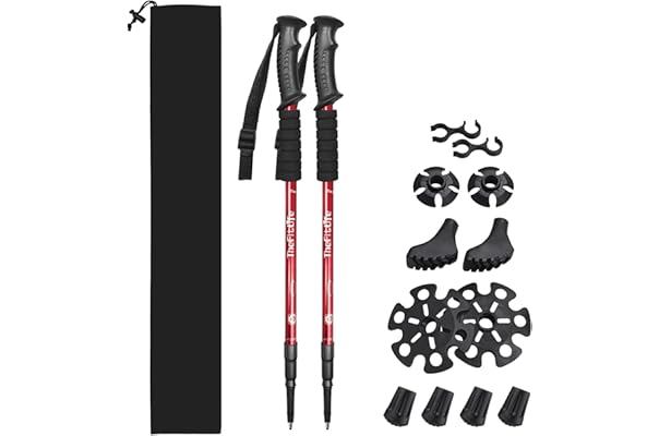 big 5 walking sticks