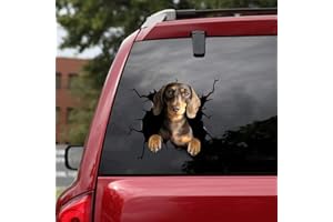 OCEAN GIFT Decalcomanie per auto, motivo: bassotto dell'oceano, confezione da 2, realistici adesivi per finestrini auto, serie 68, dimensioni 20,3 x 20,3 cm