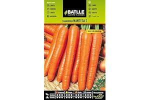 Semillas Batlle Carottes Carotte de Nantes 2 - Urgelba, Orange