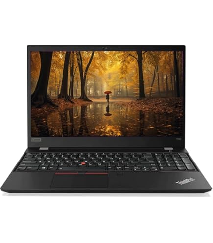 Lenovo ThinkPad T490 Intel i7 procesor 4 x 1,9 GHz, 24 GB