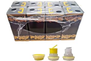 BOTTIGLIERI CASALINGHI Lattina in Metallo per trasporto Olio, contenitore 5 litri, con Maniglia in Plastica Extraforte Antiruggine, Confezione da 8 pezzi con tappo autosigillante