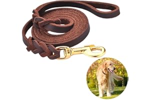 DAIHAQIKO Cane guinzaglio in pelle intrecciata 4ft/6ft Heavy Duty formazione per grande media piccola razza cane Brown Standard Pet guinzagli