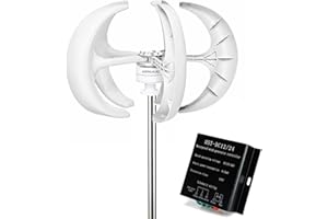 AISINILALAO Efficient Vertical 110V/ 220V Wind Turbine Generator 5000W Windmill RV Yacht Farm Small Wind Generator Home Use Windmill Free Energy(White)