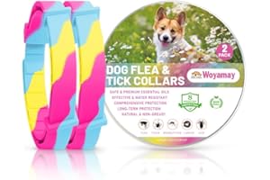 Woyamay Collier Anti Puces pour Chien, Collier Anti Tique Chien Réglable Résistant à l'eau, 8 Mois de Protection Collier Chien Anti Puces et Tiques pour Chien Tous âges, Arc-en-Ciel (2 Pièces)