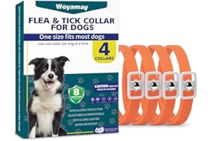Woyamay Collier Anti Puces pour Chien, 4 Paquet Réglable Résistant à l'eau Collier Chien Anti Puces et Tiques, 8 Mois Naturel Collier Anti Tique Chien pour Chien Toutes Races et Tous âges - Orange