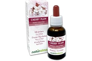 Cherry plum eller Körsbärsplommon (Prunus cerasifera) Naturalma Emotionella blommor eller Bachblommor - 30 ml Flytande alkoholfritt extrakt i droppform - Blommessenser - Vegansk