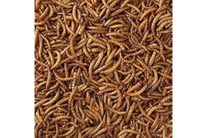WTIMESIE MALTBY'S STORES 4KG WILD BIRD DRIED MEALWORMS WILD BIRD FOOD