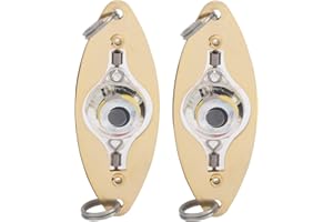 NAROOTE Wosune Luce a LED, lampeggiante colorata, 2 pezzi, esche colorate a forma di occhio per la pesca per attività di pesca per la luce per la pesca in acque profonde