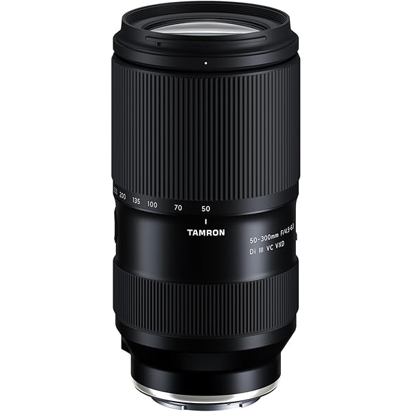 Tamron 28-300 mm F/3.5-6.3 Di VC PZD Objektiv für Nikon 