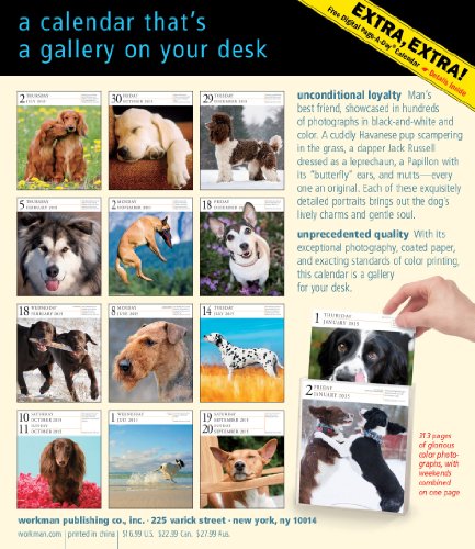 Dog 2015 Gallery Calendar (Workman Gallery Calendar)