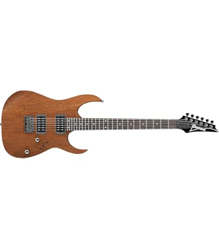 Ibanez Electric Guitar RG series Standard RG421PB-CHF : Amazon.in