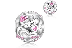 Alstiva Geburtsstein Charm 925 Sterling Silber 5A Zirkonia Anhänger für Europäische Armbänder und Halsketten - Schmuck Geschenk für Damen