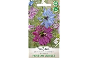 WegAna Nigella Damascena Persian Jewels mezcla de semillas 1g, anual 40 cm plantas de jardín plantas de balcón abeja pasto flores semillas