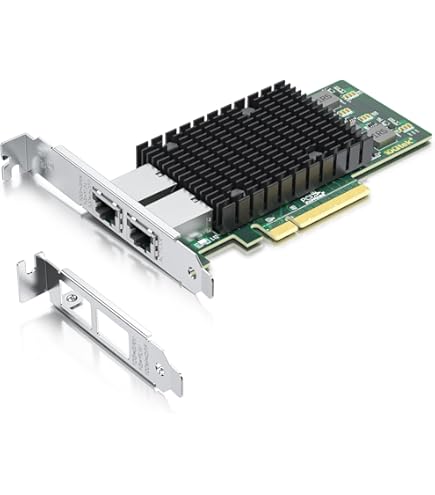 Intel Ethernet Converged Network Adapter X520-SR2 Netzwerkadapter