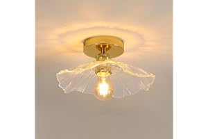 Comely Plafoniera för korridor, E27 Lampa da Soffitto Forma Di Fiore, Smalla Plafoniere da Soffitto i transparent glas, Guldb