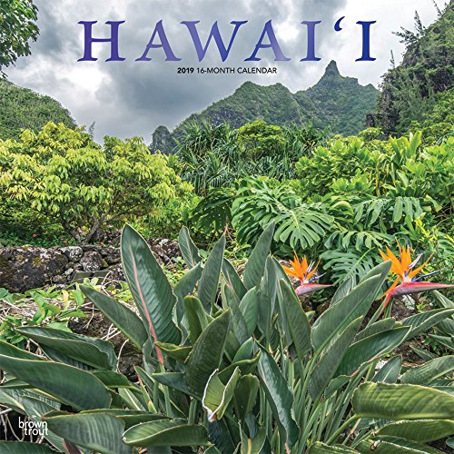 Download Hawai'i 2019 Calendar