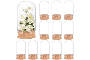 CREATCABIN 12 st Cloche Bell Jar 5 cm Cloche glaskupol klart glas display kupol med korkbas dekorativa burkar miniflaskor för förvaring skal jul heminredning torkade blommor festgåva