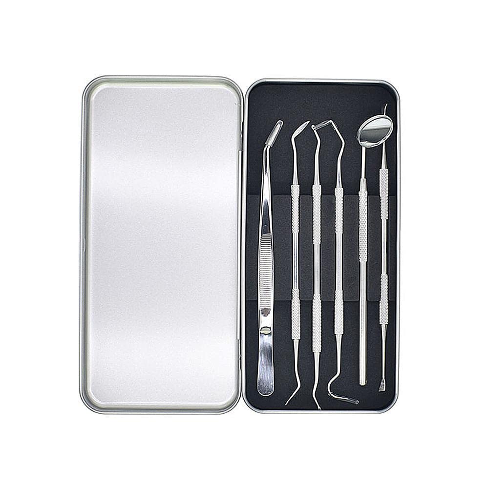 Valkyrie 6 adet Metal Kutulu Paslanmaz Çelik Diş Tartar Dil Temizleme Dental Ağız Bakım Seti