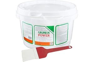 Abbeizer Set: Grüneck Power 2,5kg mit Abbeizpinsel 60mm