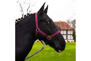 PFERDELINIS Mini Shetty, cavezza per puledro in legno, 2 posizioni regolabili per il mento e la testa (bordeaux, puledro)