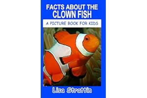 Facts About the Clown Fish