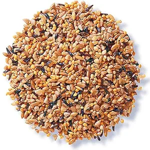BZ - Birdy Zone Mix Seed Healthy Nutritional Millets Birds Food for All Birds, Finches, Love Birds, Budgies, Cocktails, Sparrows, Small Birds (400 Grams) (Coir) (Finches Food, 400Gms)