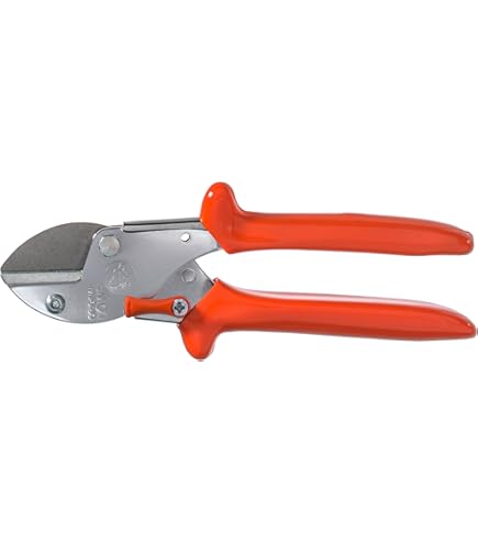 Original LÖWE 8 professionele aambeeld snoeischaar 8.107 met bypass geometrie - scherpe handzame schaar met stalen lemmet anti-aanbaklaag en ergonomisch gevormde handgrepen voor snijwerkzaamheden in