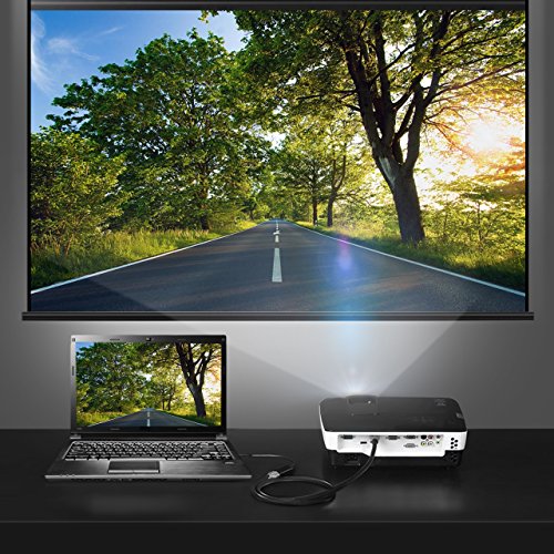 DisplayPort auf HDMI, VicTsing Vergoldet DisplayPort (DP) to HDMI Kabel HDTV Adapter Konverter Male to Female mit Audio Output - 6