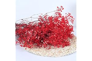 YIWOYI Natural Dry Flower Gypsophila Fresh Dried Preserved Flowers Gypsophila Paniculata Breath Flower Bouquets For Wedding Party Home Dekoration (red,15-30cm20g)