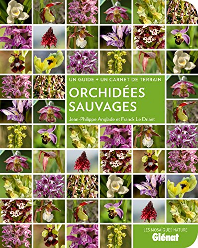 Téléchargement gratuit de livres audio Orchidées sauvages by author E-book MOBI 2344001271
