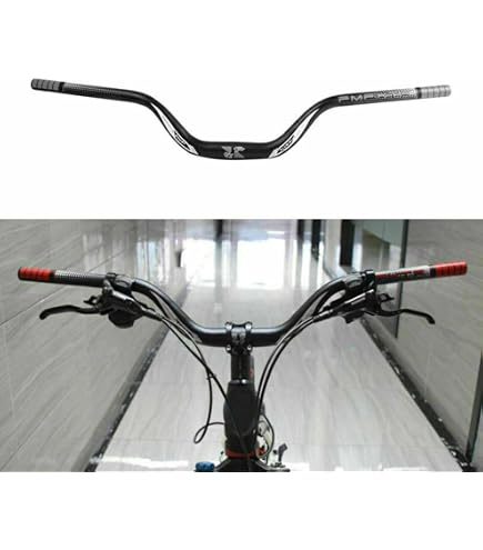 ErgoTec Guidon Trekking – Acier Micro-allié, 590 Mm, 25,4 Mm, Noir, E-bike Ready