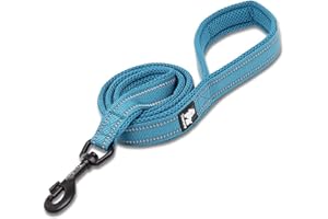 TRUELOVE TRUE LOVE Dog Leash Puppy Walking Lead Pet Chain Padded Reflective Night Safe Rope Length 110cm TLL2111(Blue,M)
