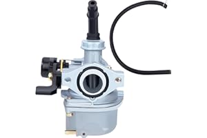 Tunejoy Vergaser 19mm für 4 Takt Motoren 50cc 70cc 90cc 110cc 125cc PZ19 Carburetor mit Manuellem Ventil für ATV Dirtbikes Pitbikes Pocketbikes Mopeds Minimotorräder Motocross Quad