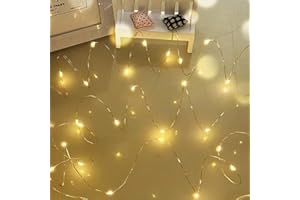 Dalugo Guirlande Lumineuse LED, 5m 50 LED Guirlande Lumineuse Pile, Blanc Chaud Guirlandes Lumineuses pour Chambre Jardin Maison Mariage Fête