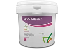 Bioges Mico-Green da 2,5 kg – micorrize in Polvere