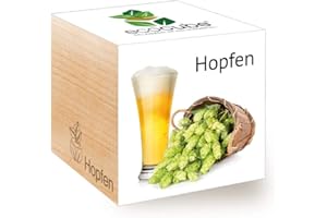 Feel Green Ecocube Hopfen, Idea de Regalo sostenible (100% Eco Friendly), Grow Your Own Craft Beer/Anzuchtset, Plantas en Cubos de Madera, Fabricado en Austria