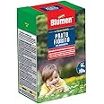 Prato Fiorito con Margherite Blumen 200gr